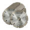 Spar-Set: 10 Stk. Diamant-Trennscheibe Eco-Beton &Oslash; 125 mm Aufnahme 22,2 mm